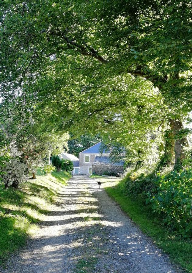 Cornwall, Looe - Magical Pendriffey Pelynt Εξωτερικό φωτογραφία