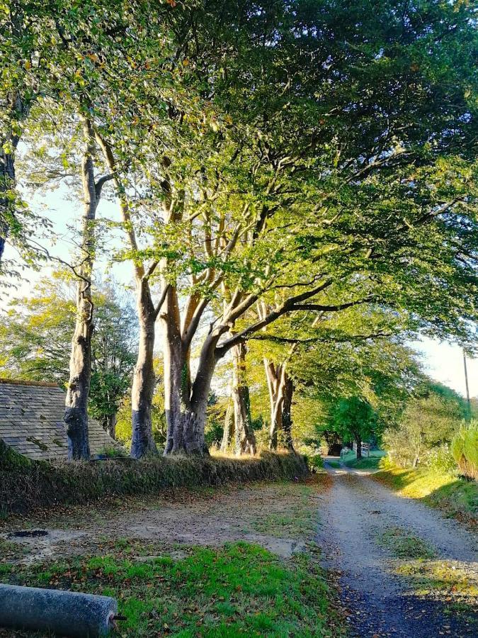 Cornwall, Looe - Magical Pendriffey Pelynt Εξωτερικό φωτογραφία